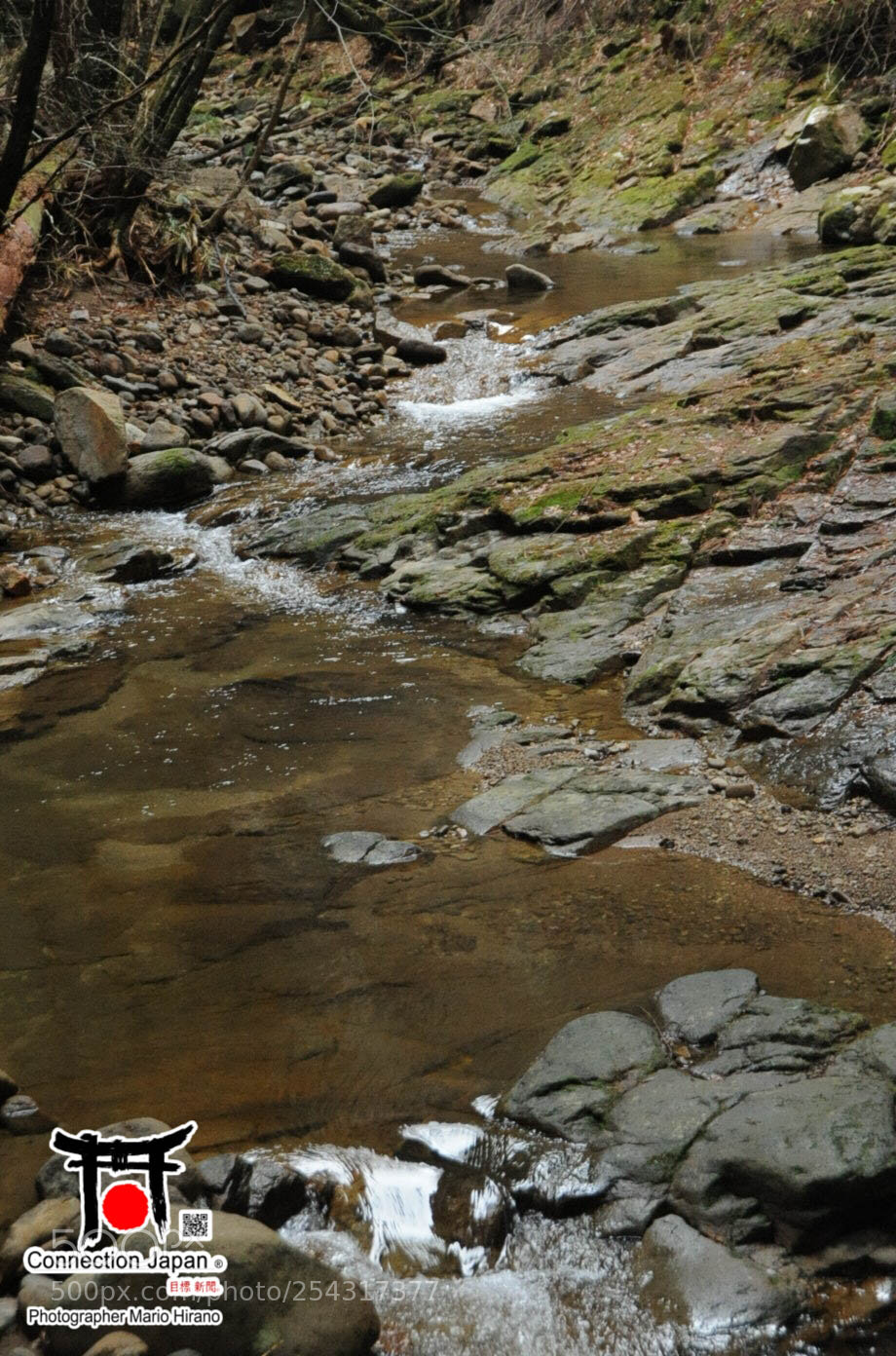 Nikon D700 sample photo. Excurs o japan tour photography
