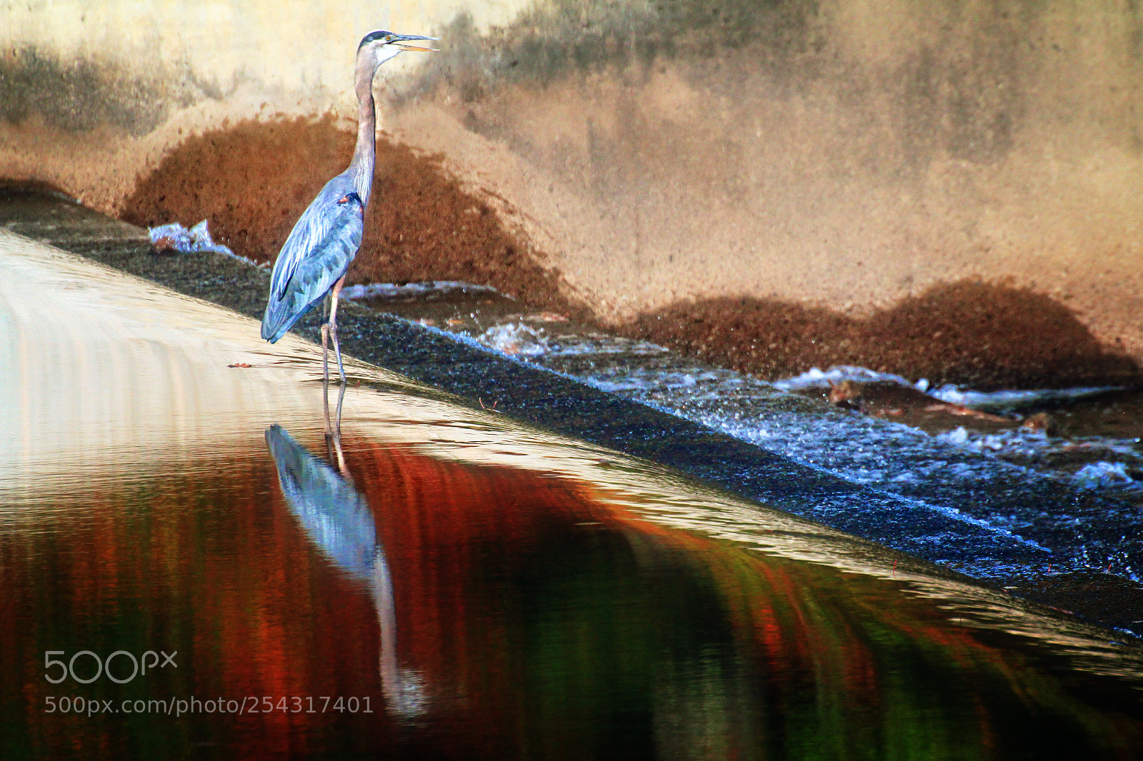 Canon EOS 7D sample photo. Working the spillway photography