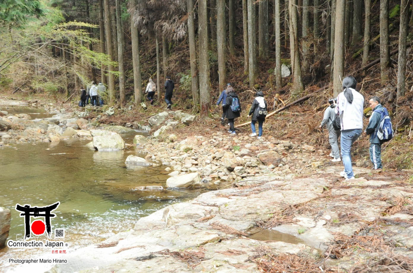 Nikon D700 sample photo. Excurs o japan tour photography