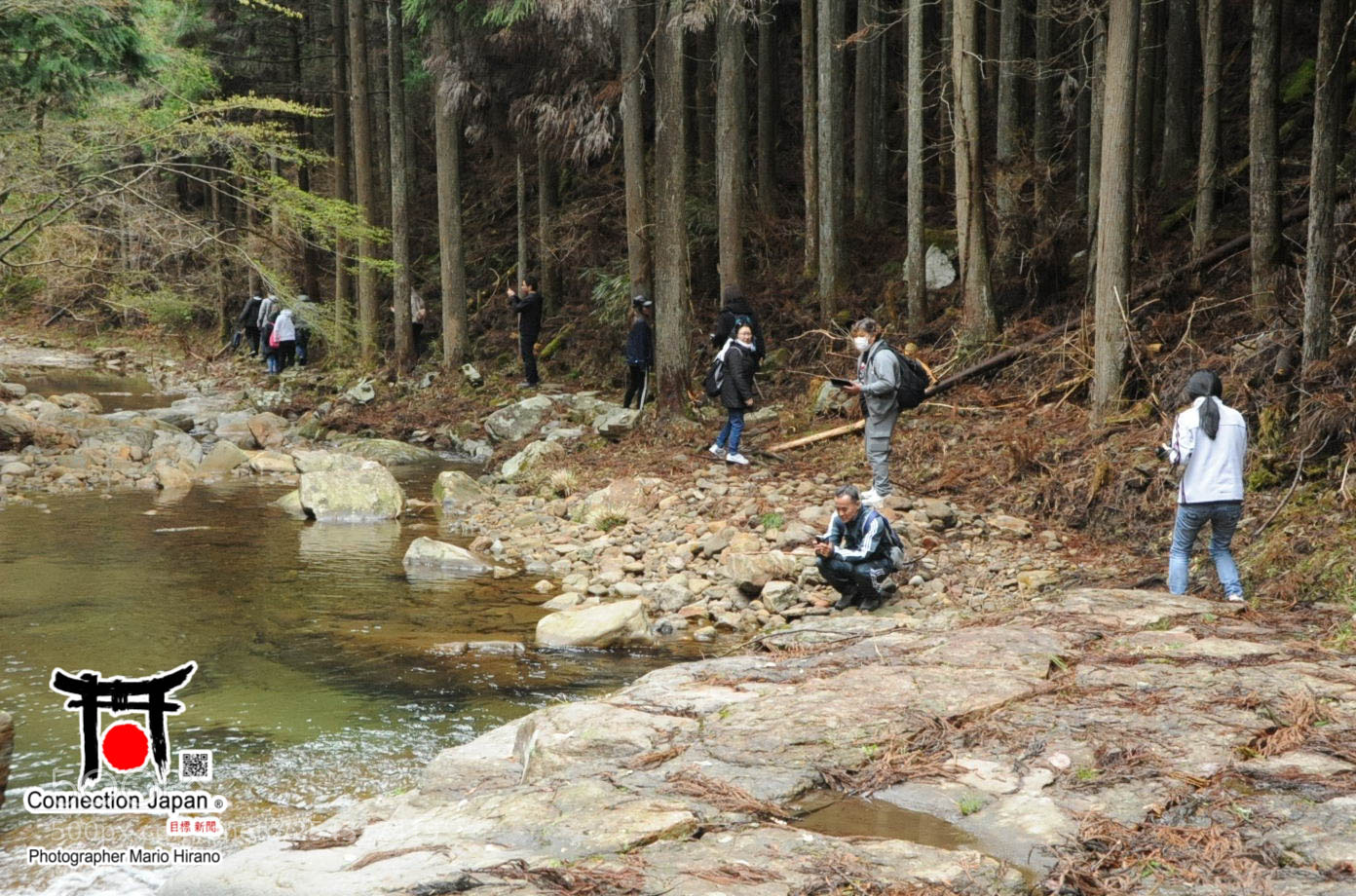 Nikon D700 sample photo. Excurs o japan tour photography