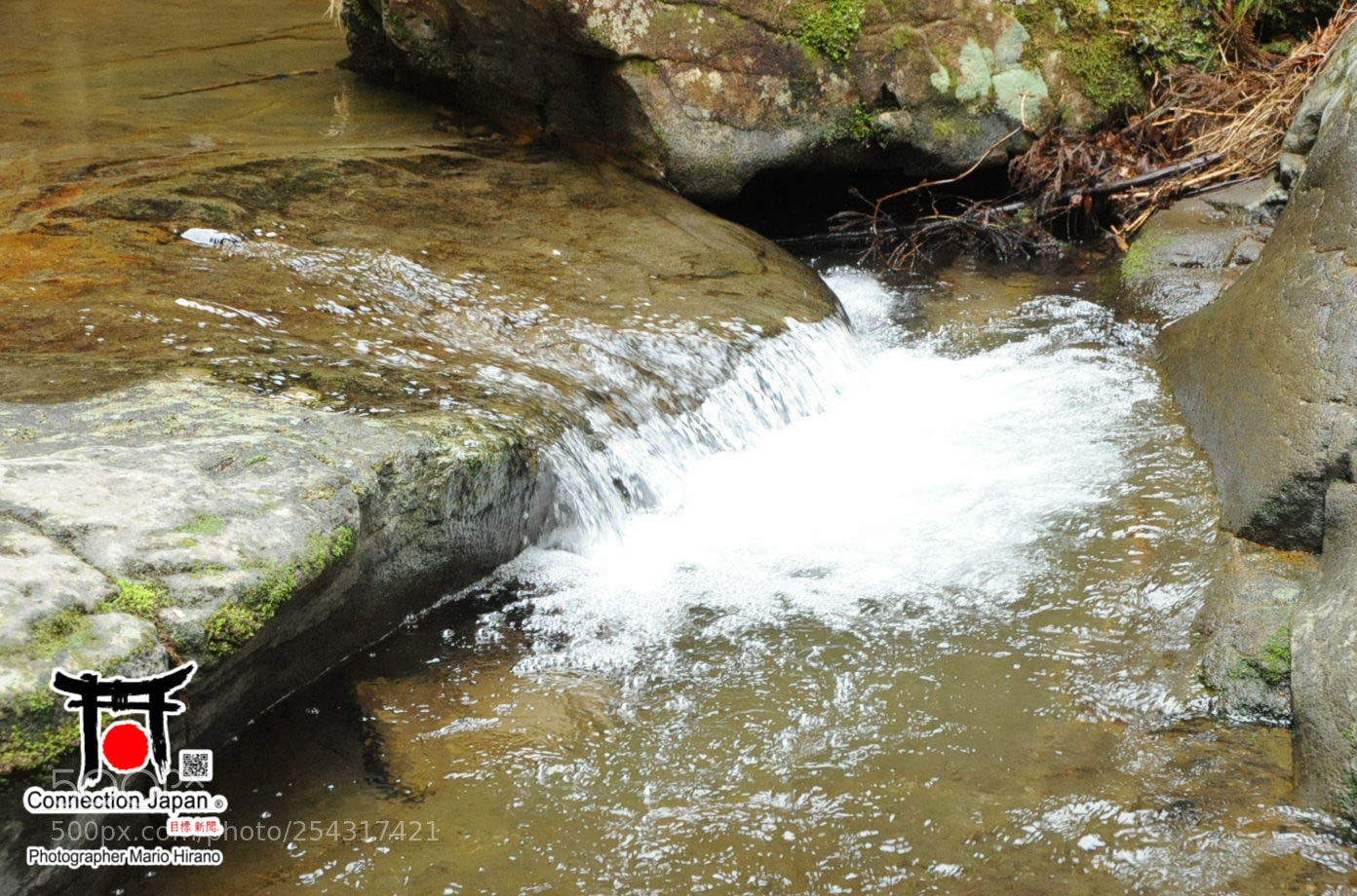 Nikon D700 sample photo. Excurs o japan tour photography