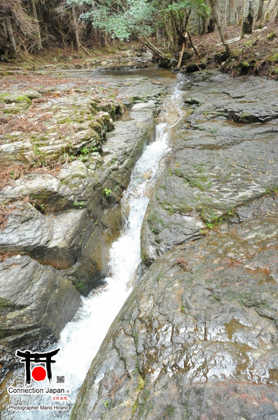 Nikon D700 sample photo. Excurs o japan tour photography