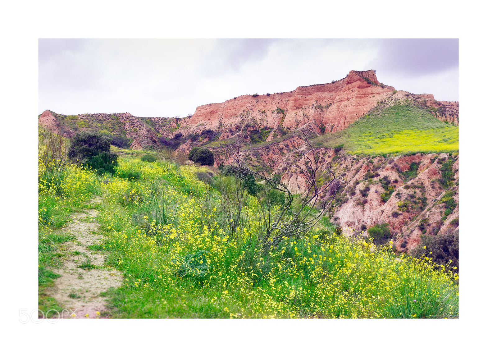 Canon EOS 7D sample photo. ...barrancas de burujón... photography