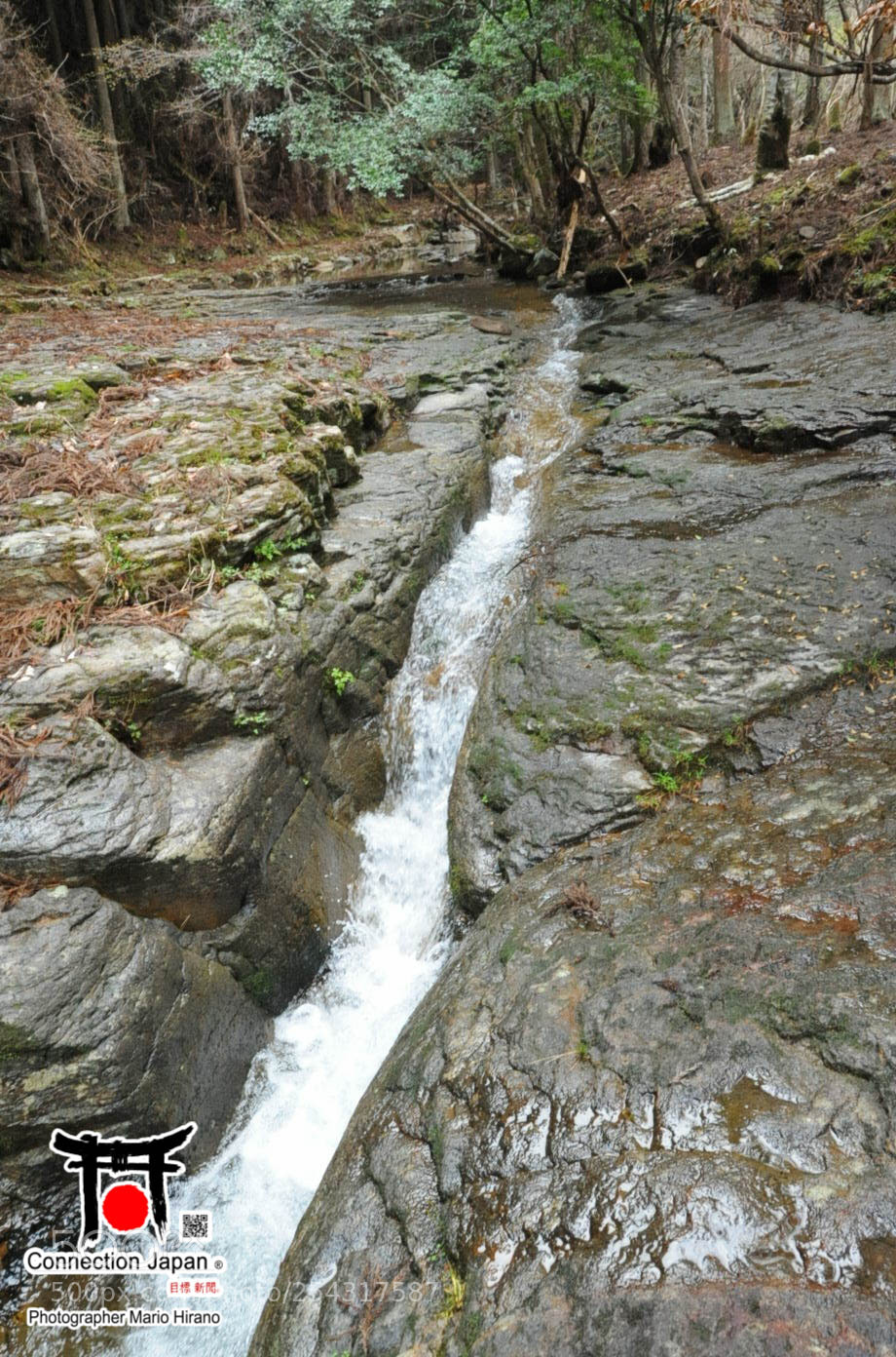 Nikon D700 sample photo. Excurs o japan tour photography