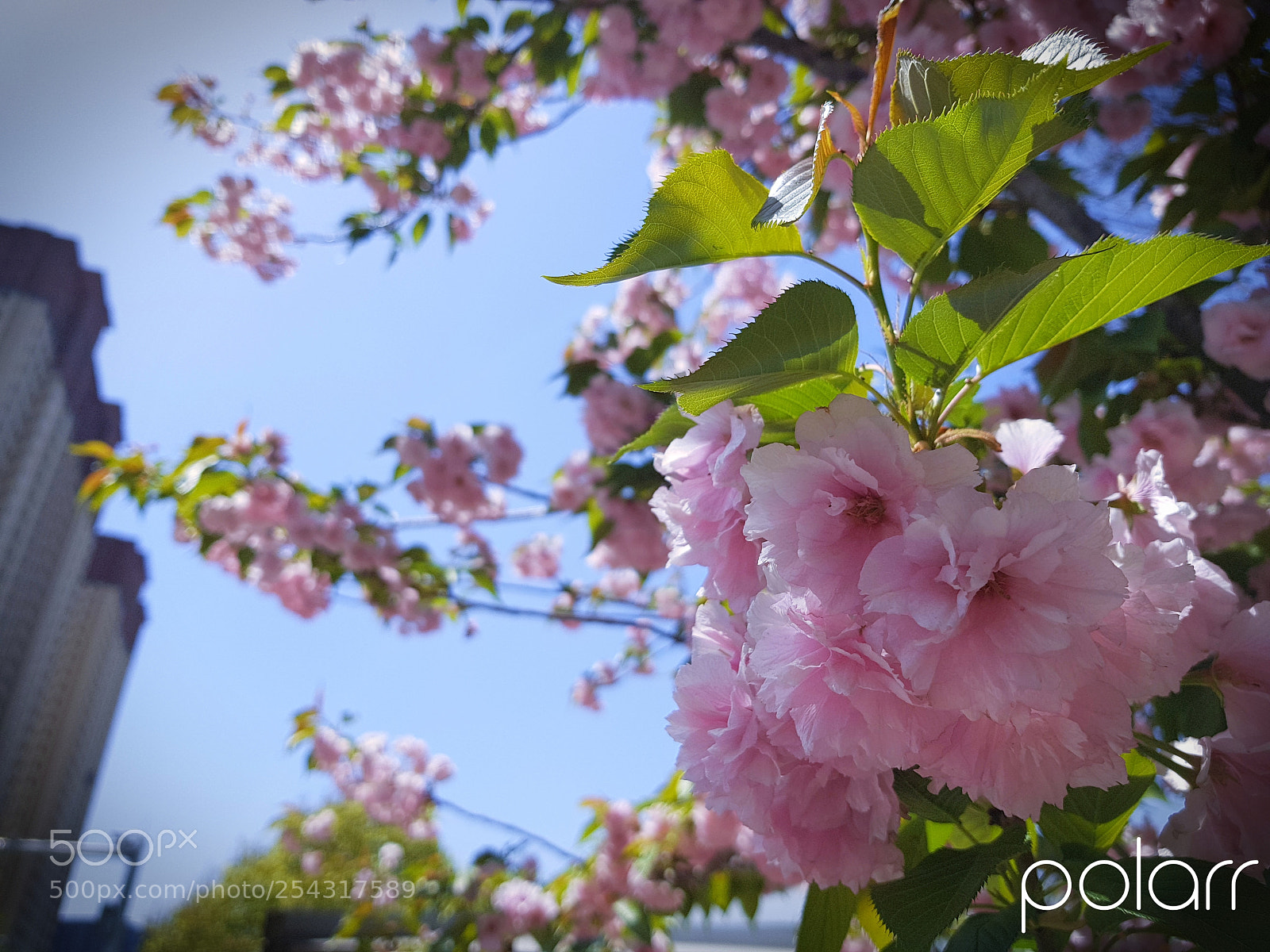 Samsung Galaxy S8+ sample photo. Untitled photography