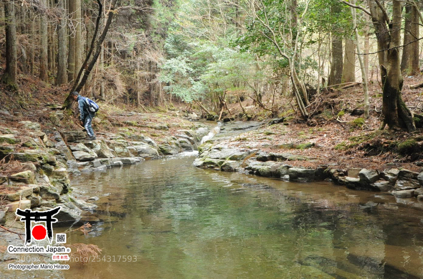 Nikon D700 sample photo. Excurs o japan tour photography