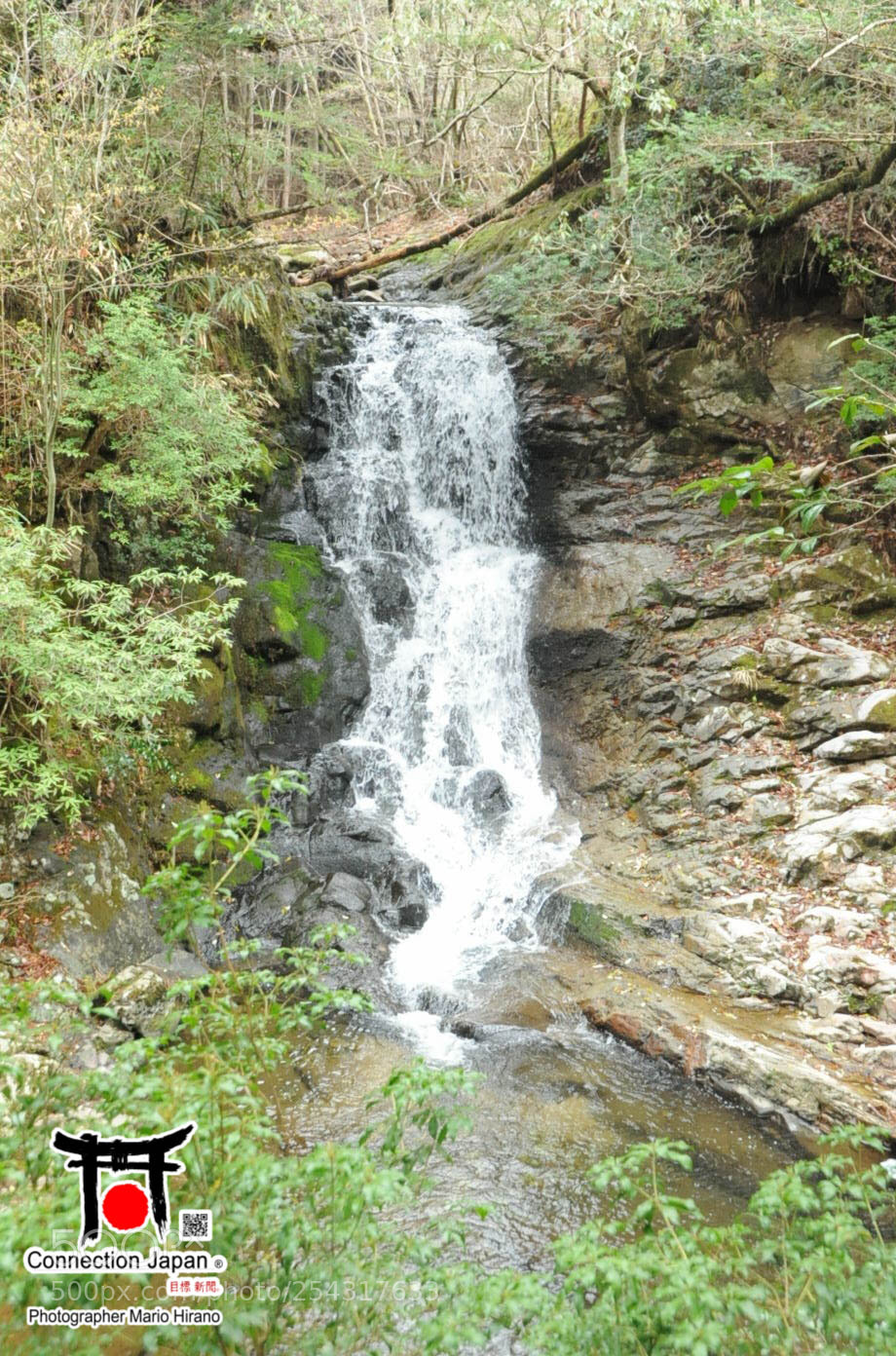 Nikon D700 sample photo. Excurs o japan tour photography