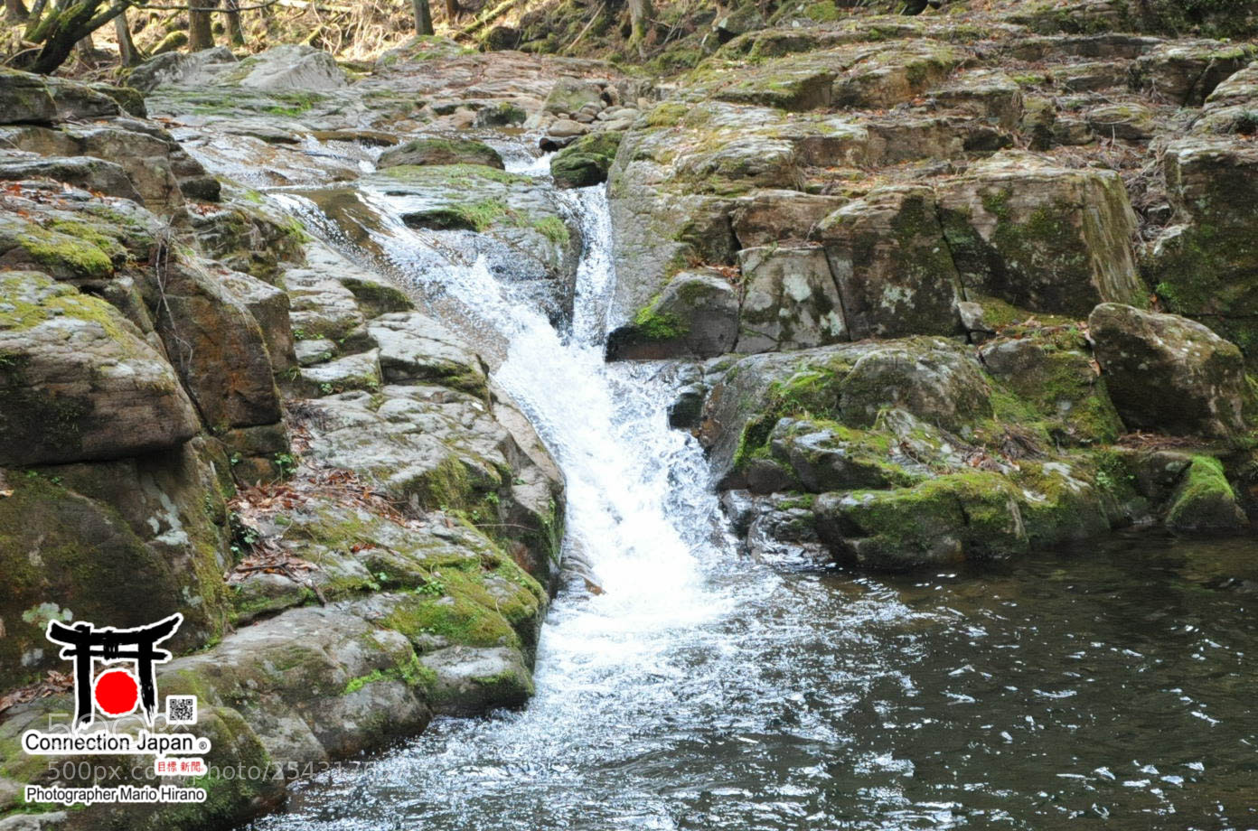 Nikon D700 sample photo. Excurs o japan tour photography