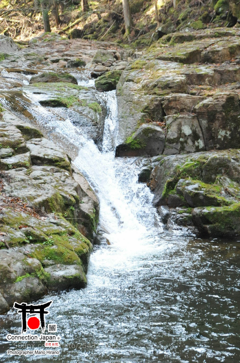Nikon D700 sample photo. Excurs o japan tour photography