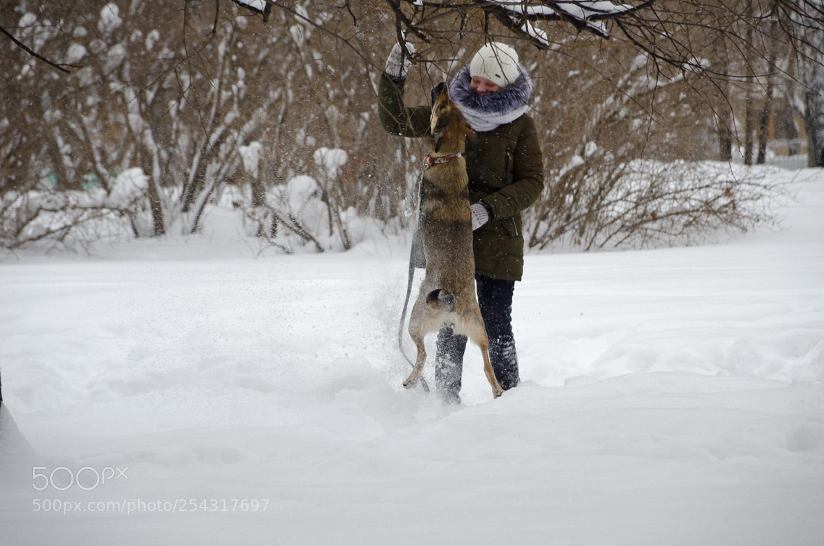 Nikon D7000 sample photo. Девушка и собака photography