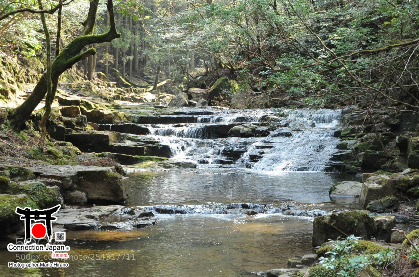 Nikon D700 sample photo. Excurs o japan tour photography