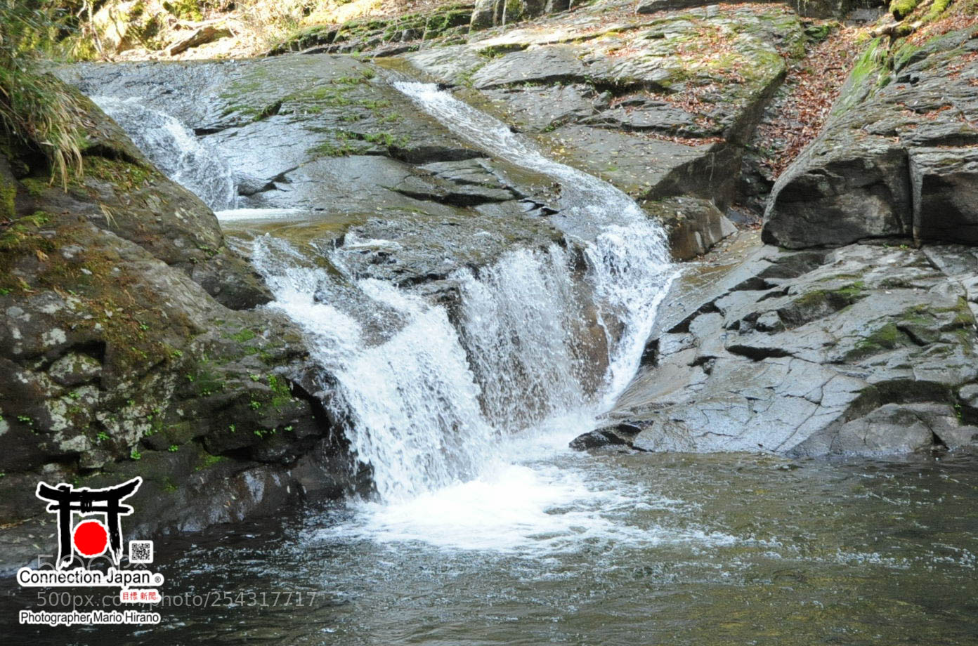 Nikon D700 sample photo. Excurs o japan tour photography