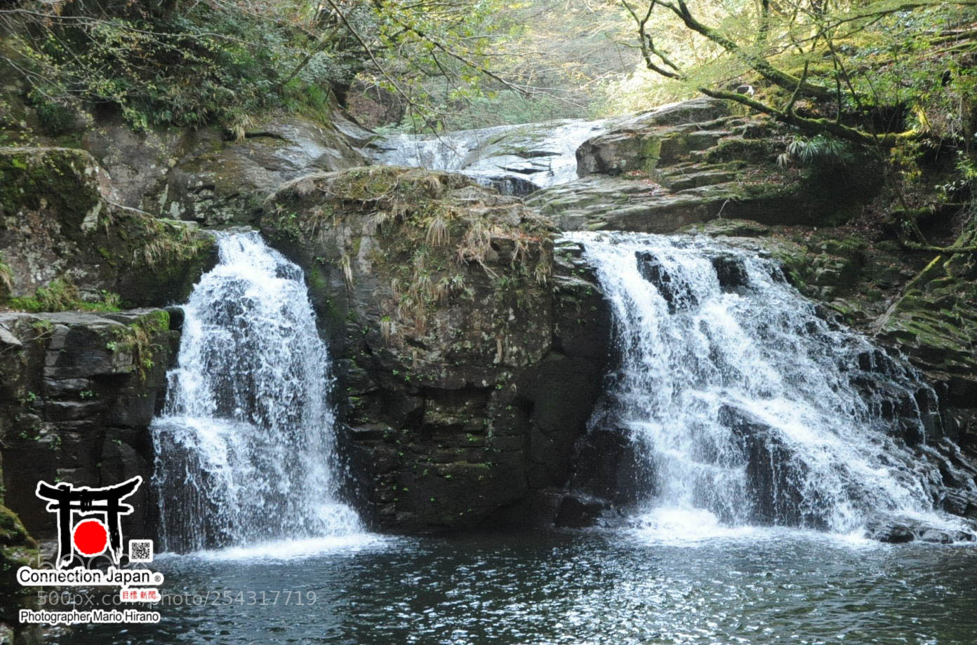 Nikon D700 sample photo. Excurs o japan tour photography
