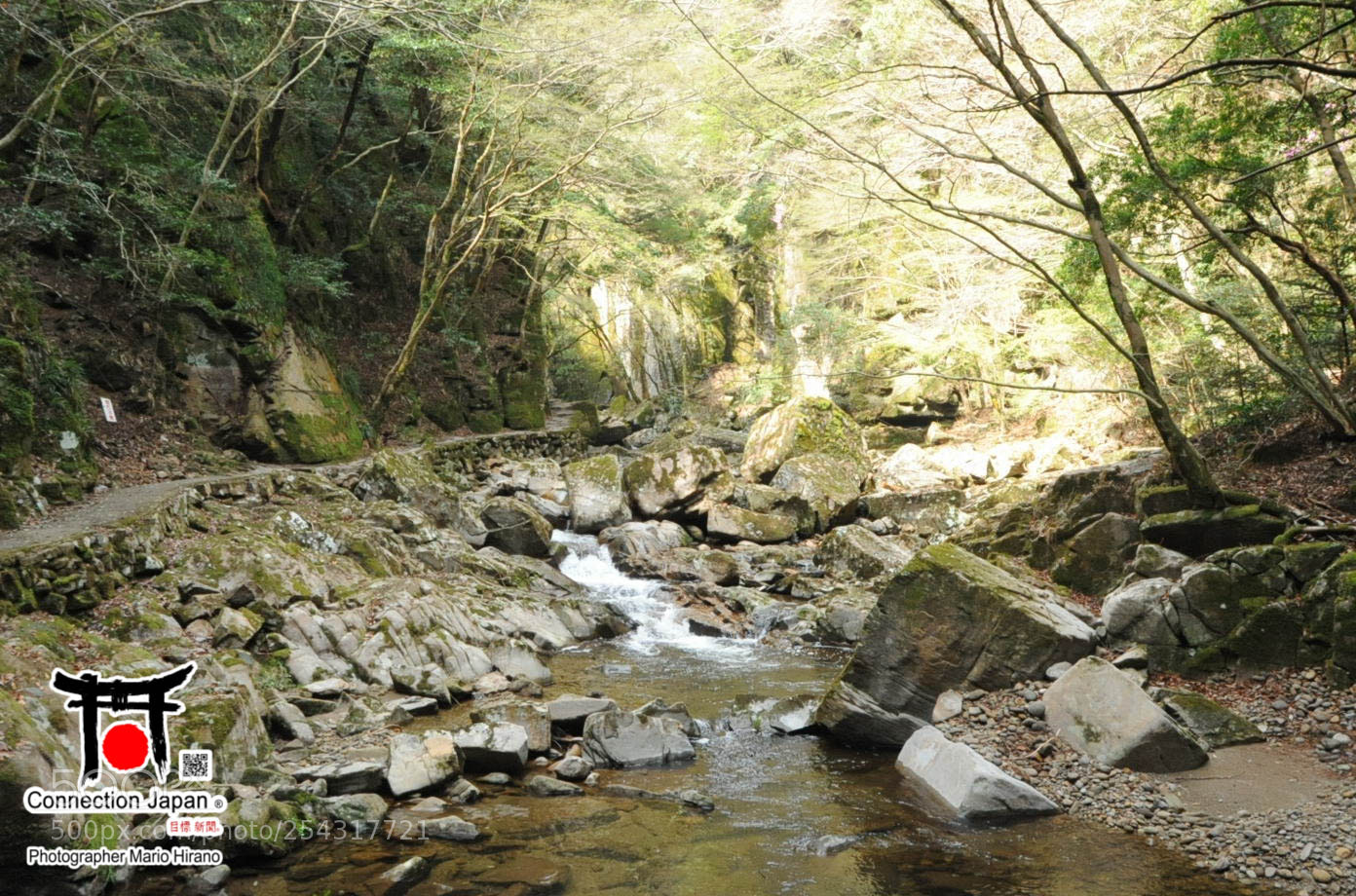 Nikon D700 sample photo. Excurs o japan tour photography