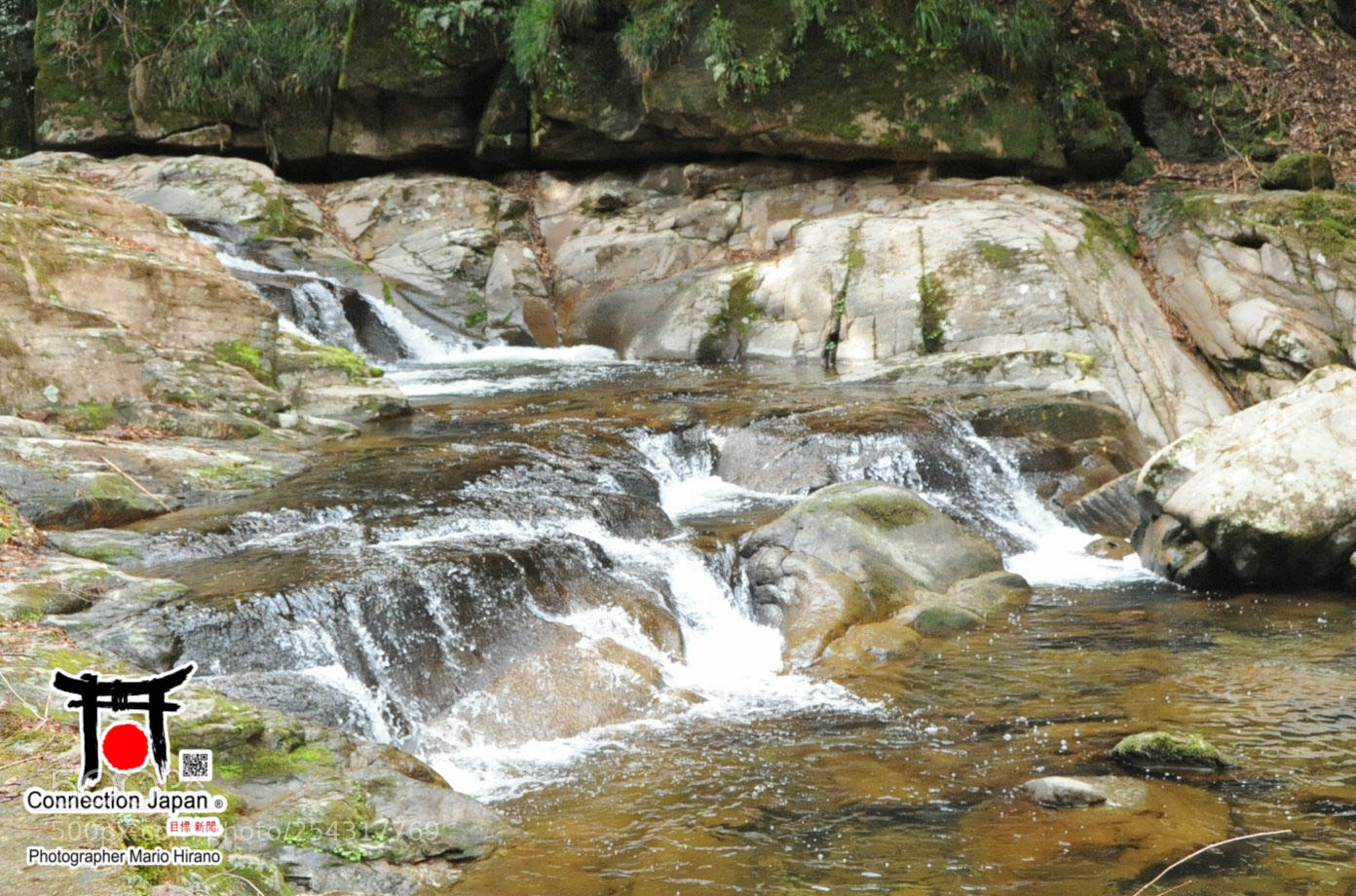 Nikon D700 sample photo. Excurs o japan tour photography