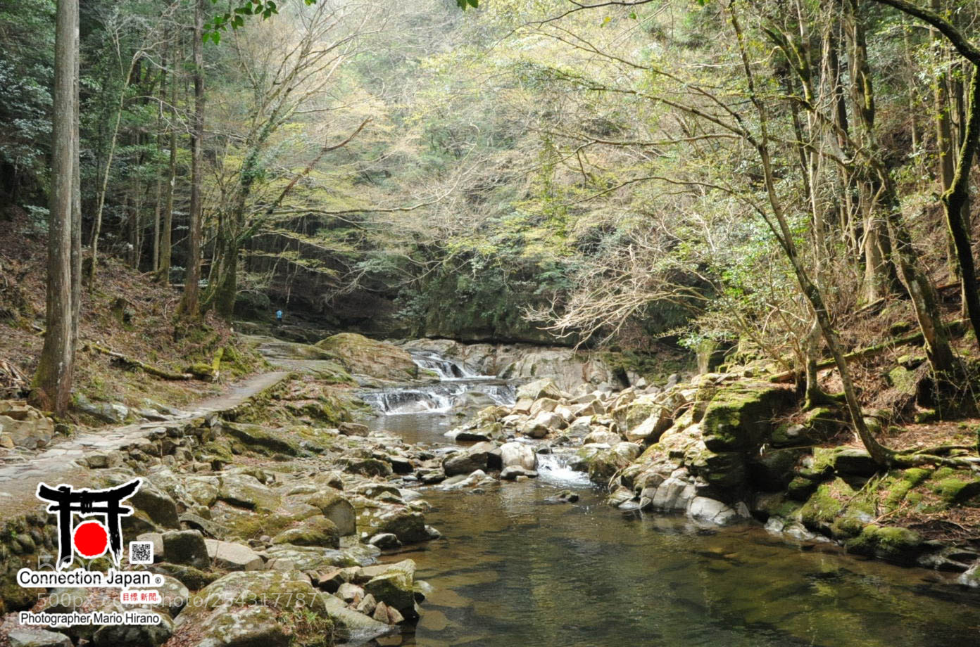 Nikon D700 sample photo. Excurs o japan tour photography