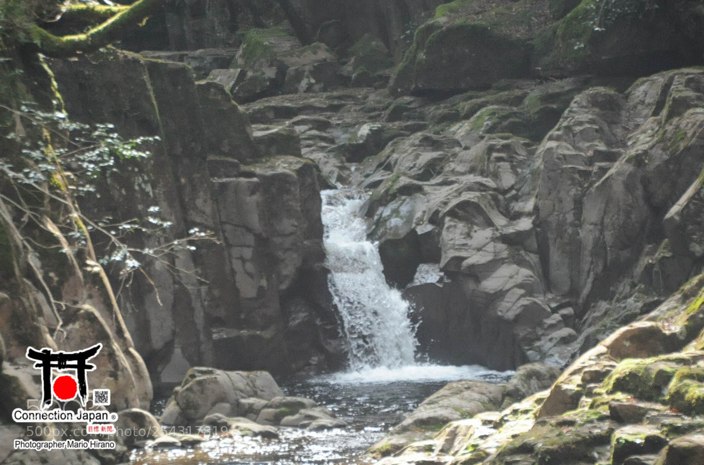 Nikon D700 sample photo. Excurs o japan tour photography