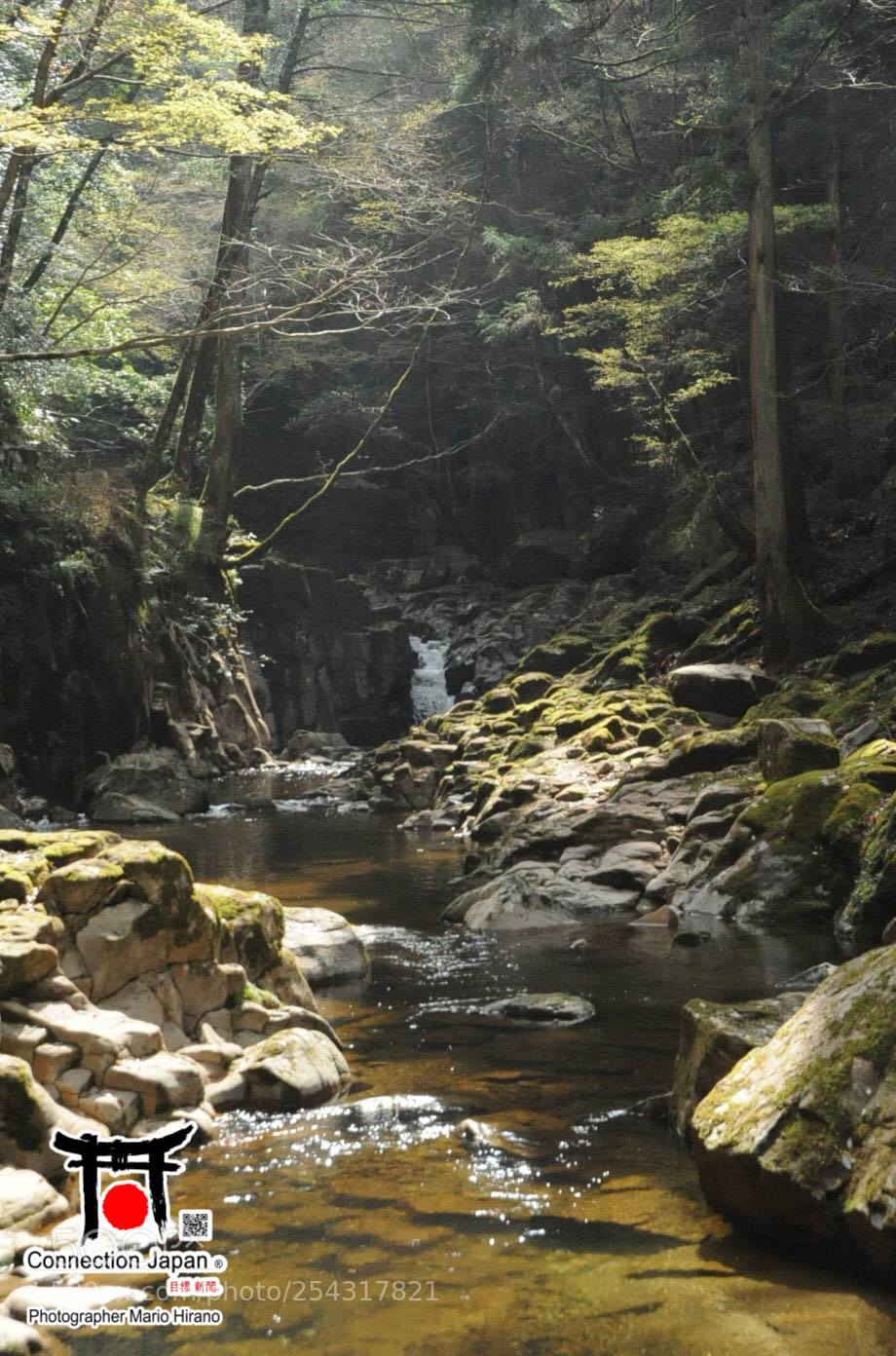 Nikon D700 sample photo. Excurs o japan tour photography