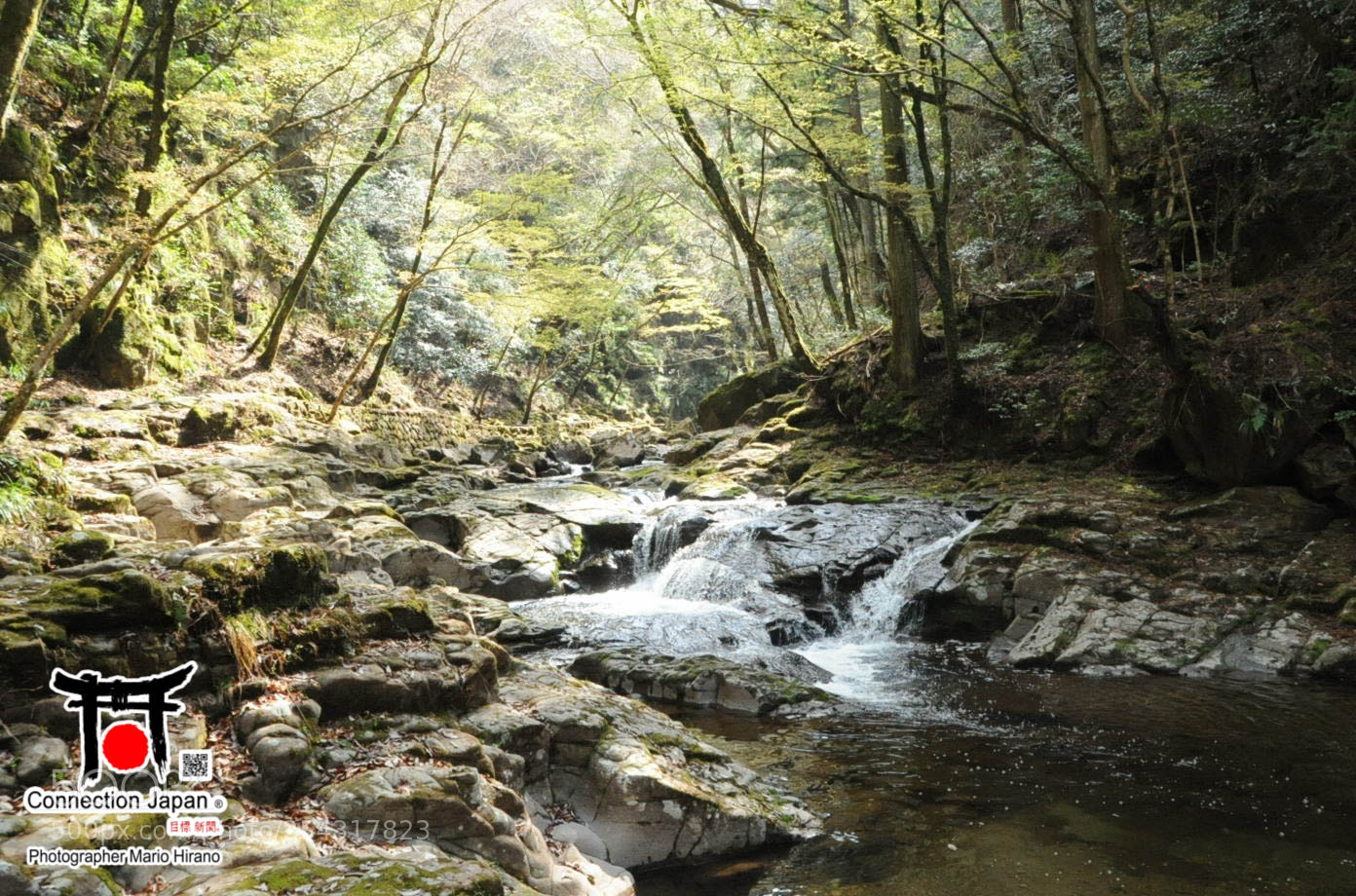 Nikon D700 sample photo. Excurs o japan tour photography