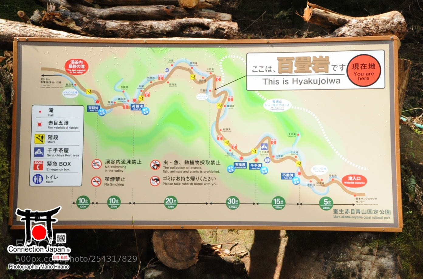 Nikon D700 sample photo. Excurs o japan tour photography