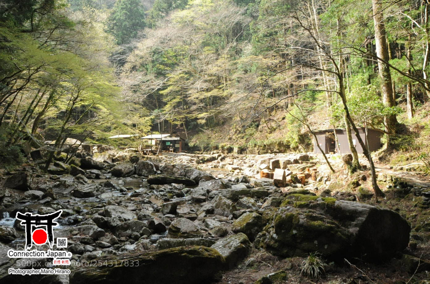 Nikon D700 sample photo. Excurs o japan tour photography