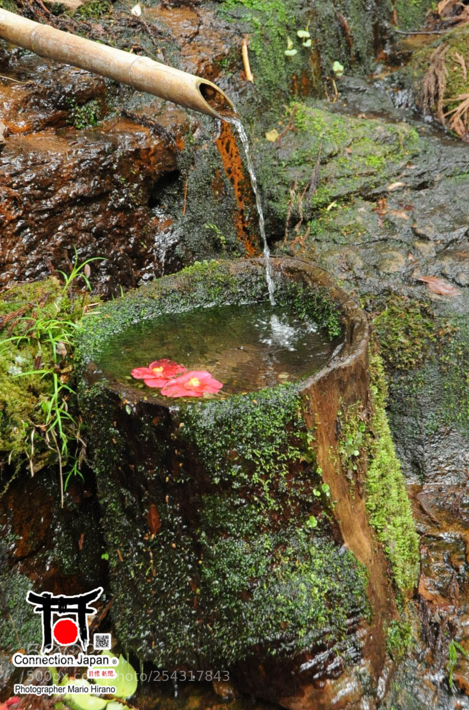 Nikon D700 sample photo. Excurs o japan tour photography