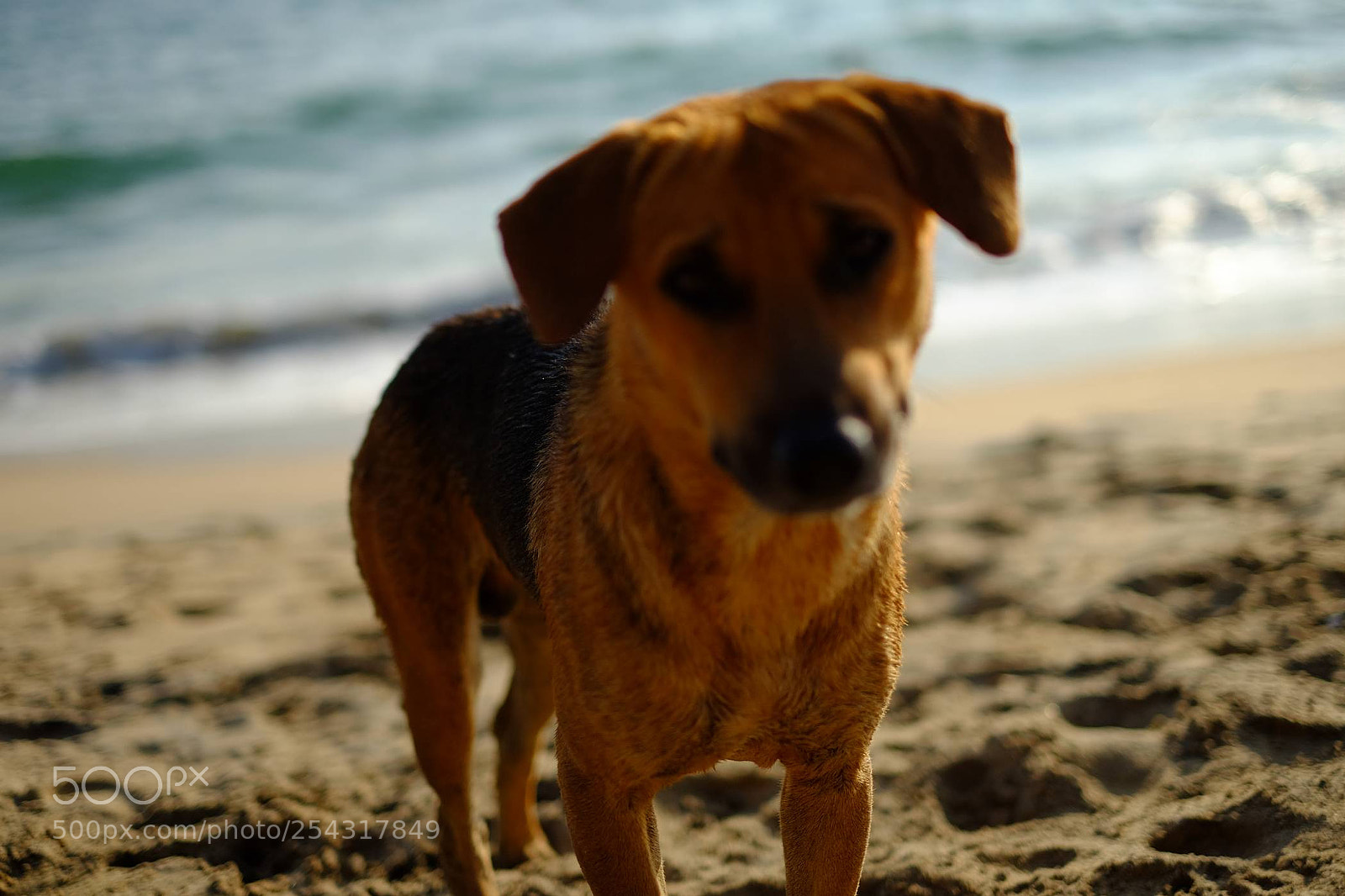 Fujifilm X-T10 sample photo. Dscf photography