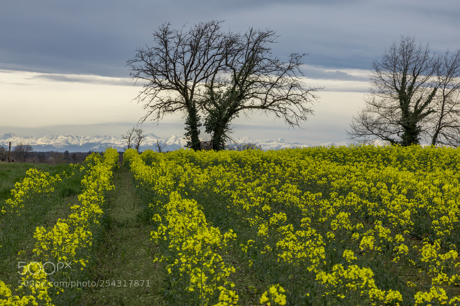 Canon EOS 5D Mark IV sample photo. Watching the pyrenees, several photography