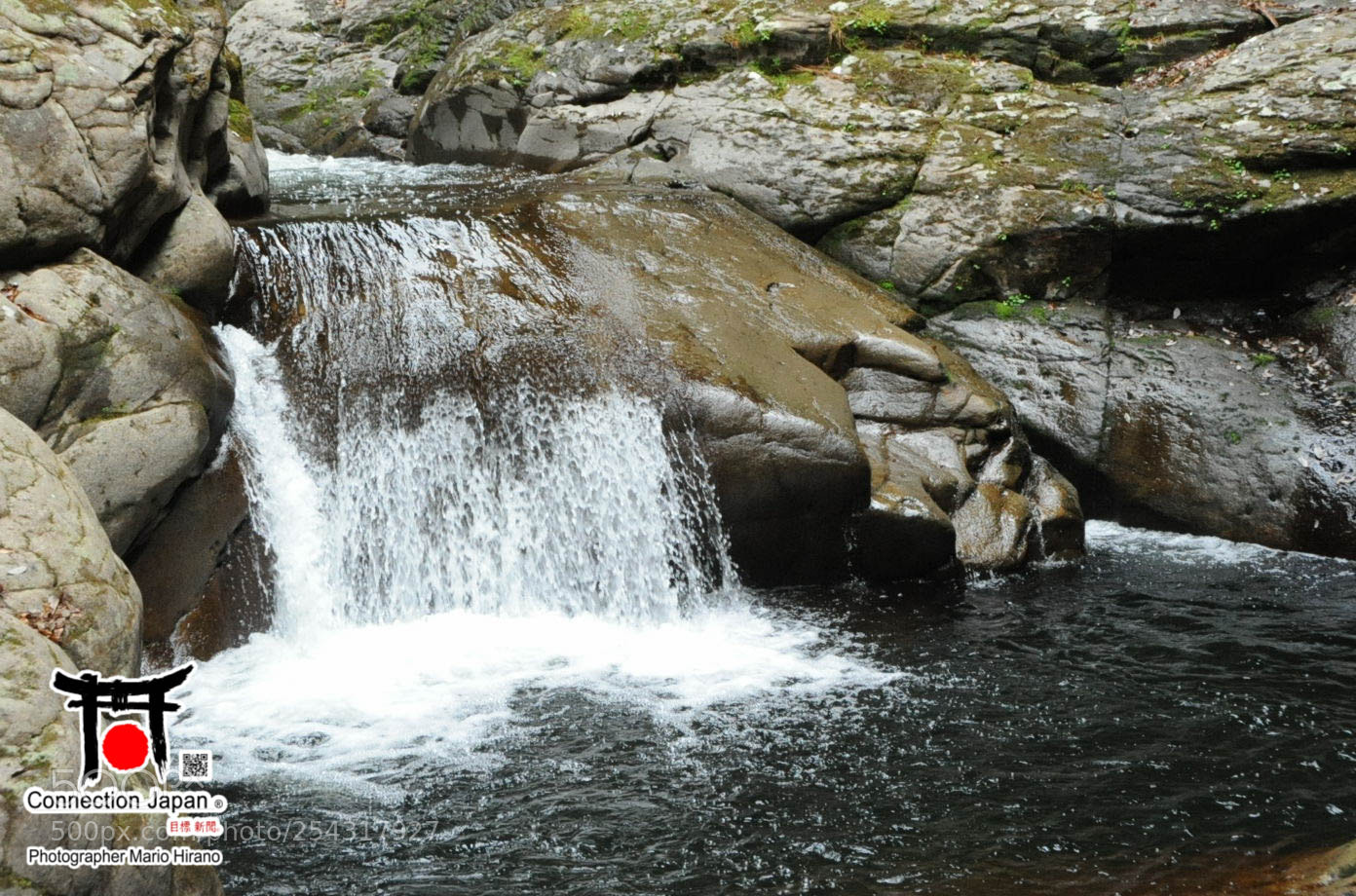 Nikon D700 sample photo. Excurs o japan tour photography