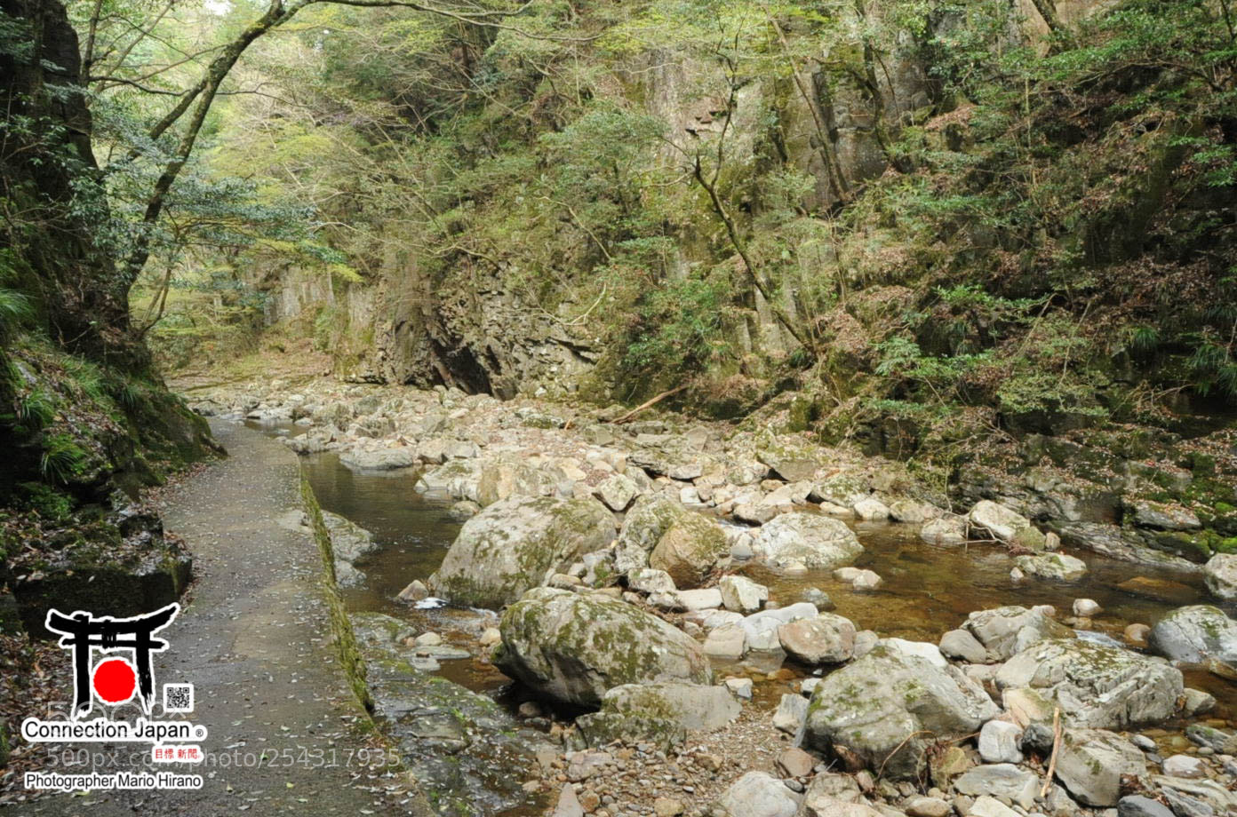 Nikon D700 sample photo. Excurs o japan tour photography