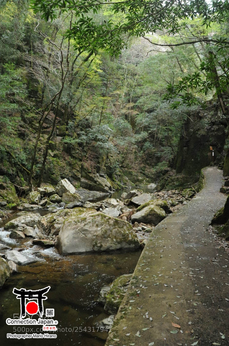 Nikon D700 sample photo. Excurs o japan tour photography