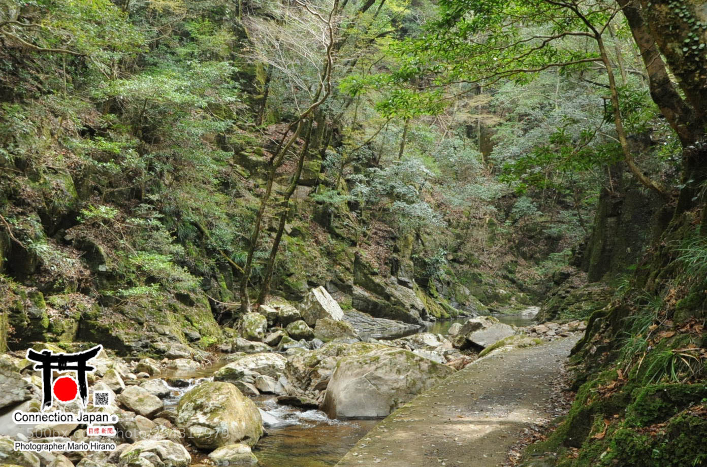 Nikon D700 sample photo. Excurs o japan tour photography