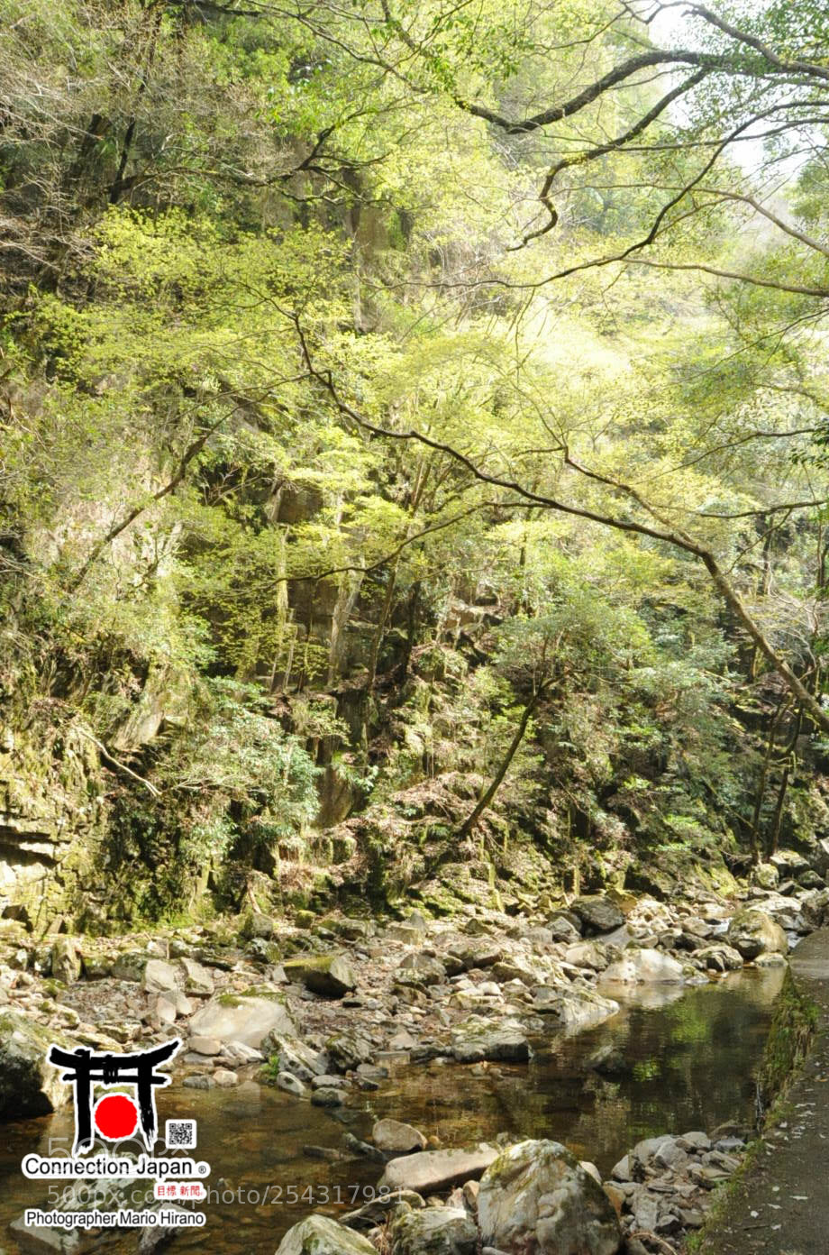 Nikon D700 sample photo. Excurs o japan tour photography