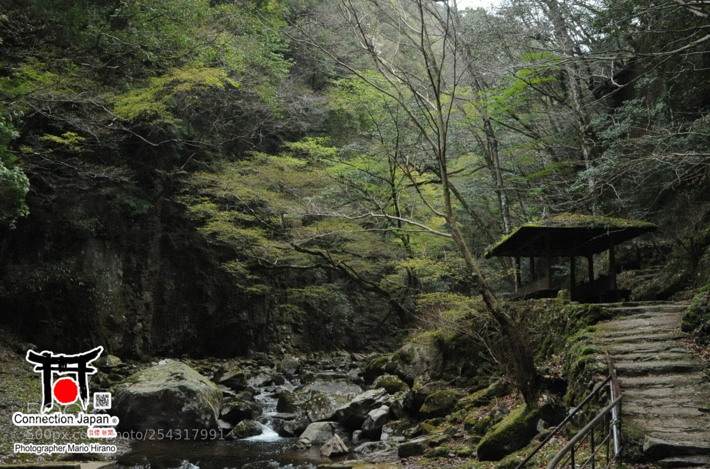 Nikon D700 sample photo. Excurs o japan tour photography