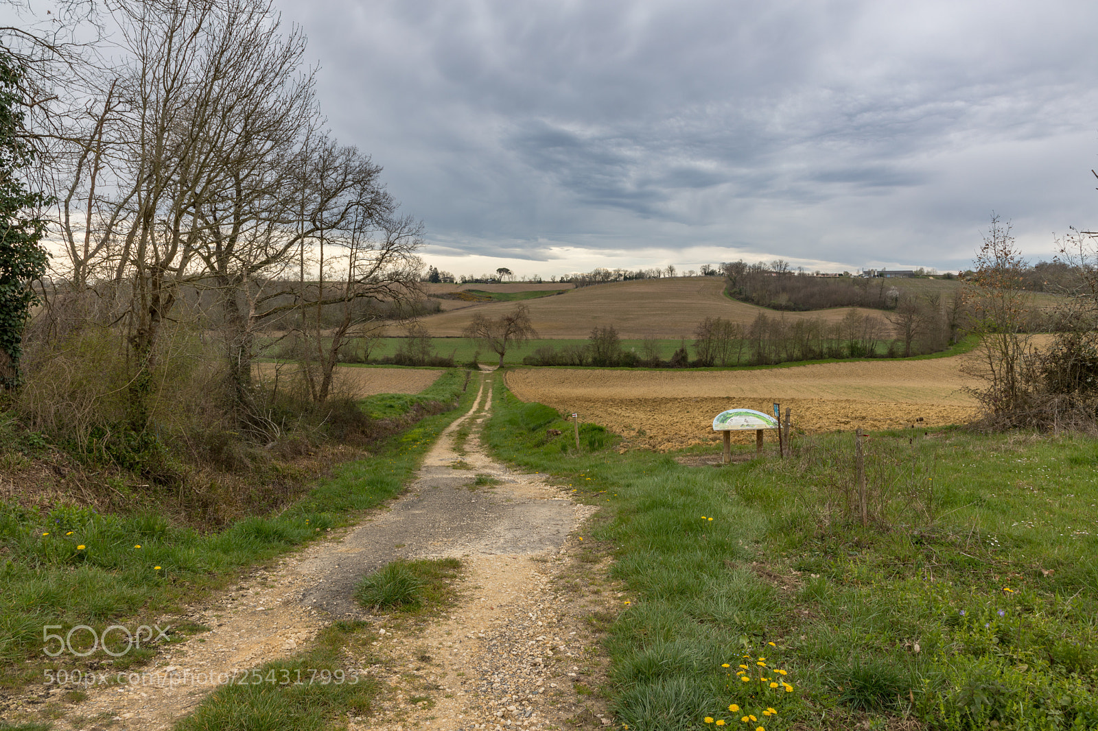 Canon EOS 5D Mark IV sample photo. Camino de santiago in photography
