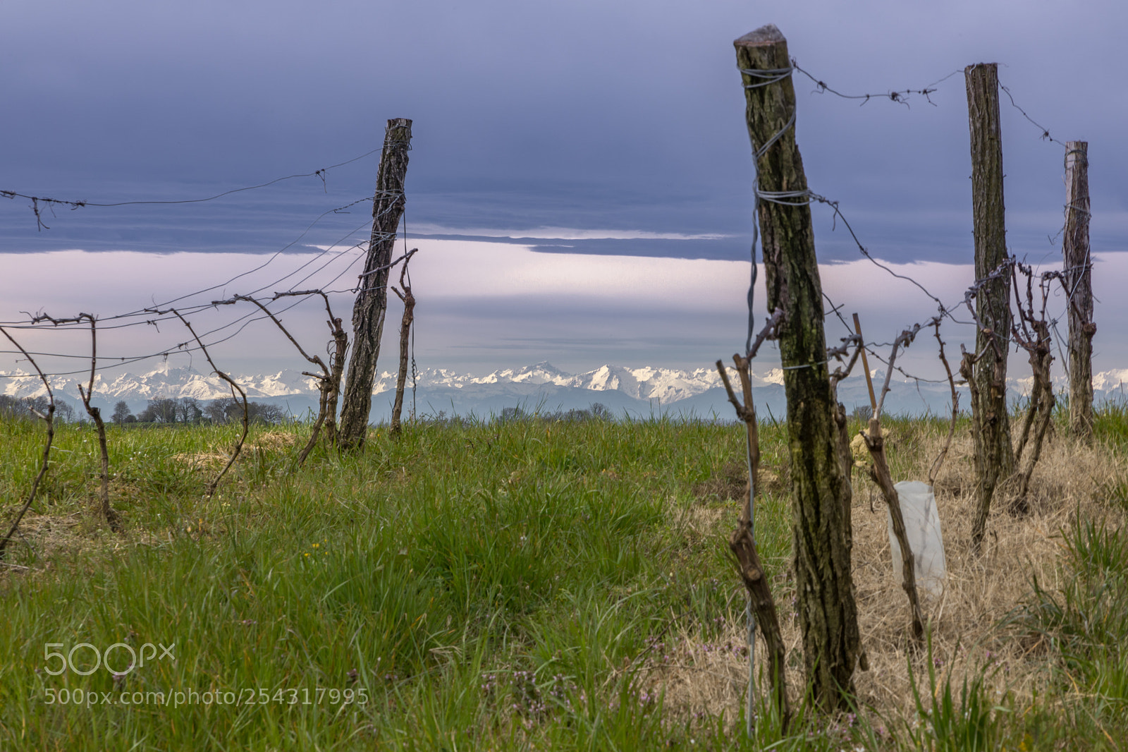 Canon EOS 5D Mark IV sample photo. Watching the pyrenees, several photography