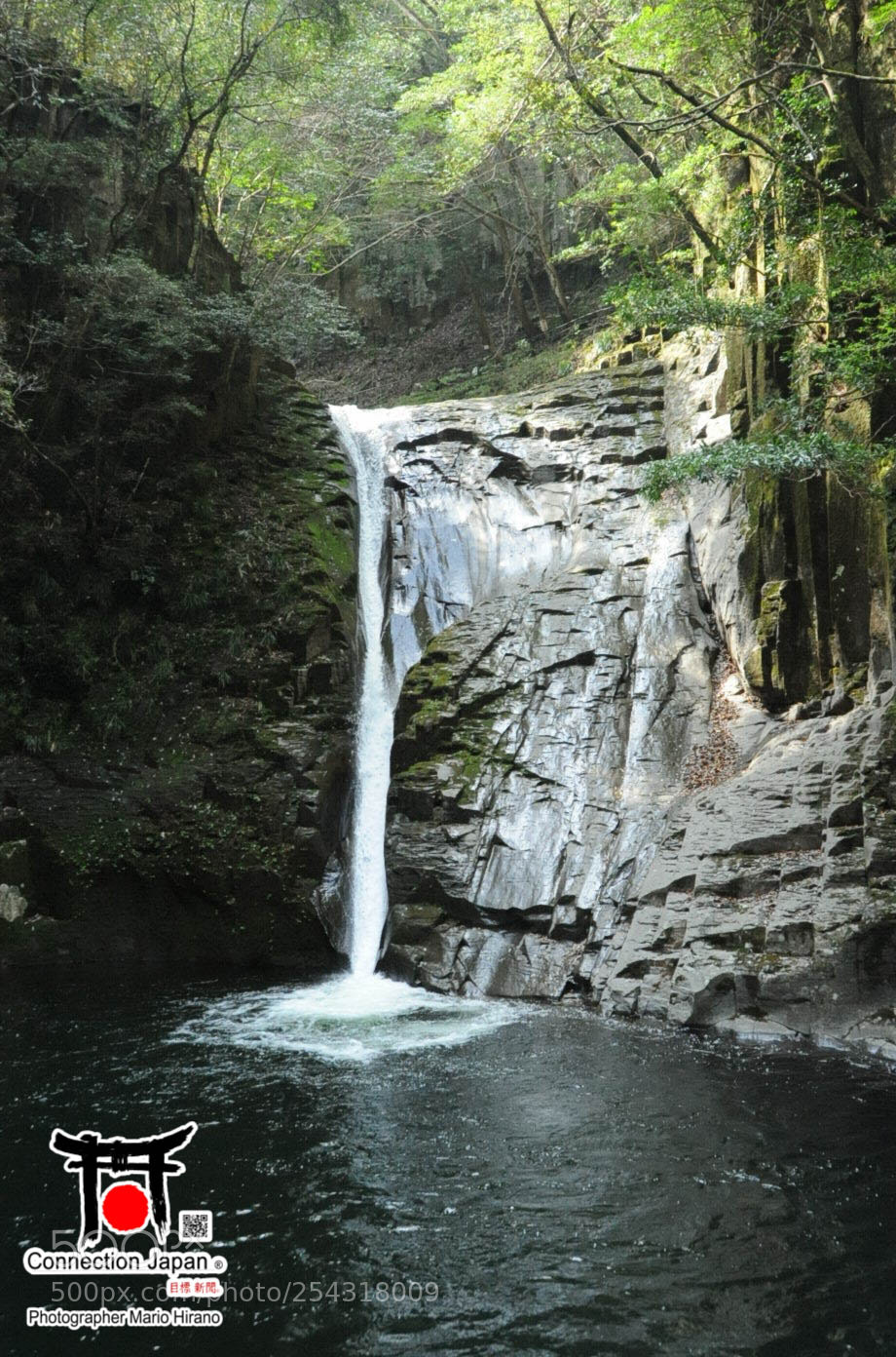 Nikon D700 sample photo. Excurs o japan tour photography