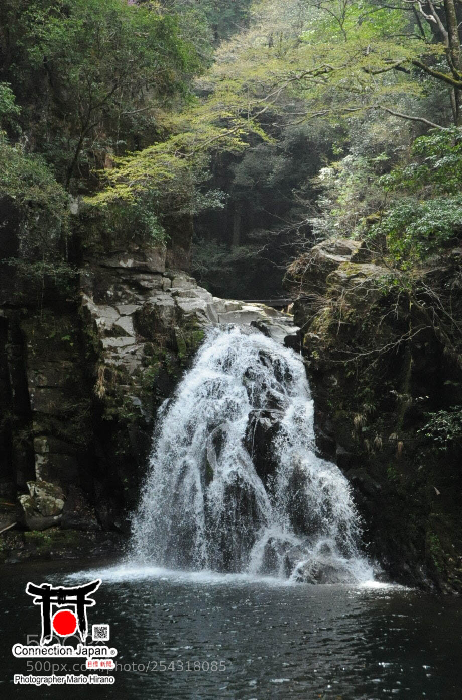 Nikon D700 sample photo. Excurs o japan tour photography