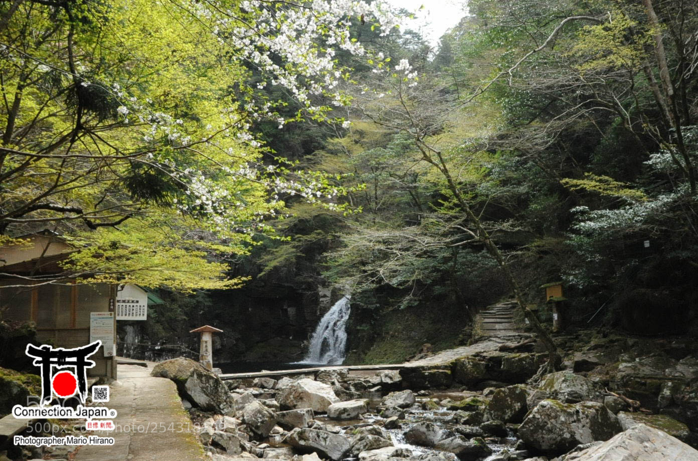 Nikon D700 sample photo. Excurs o japan tour photography