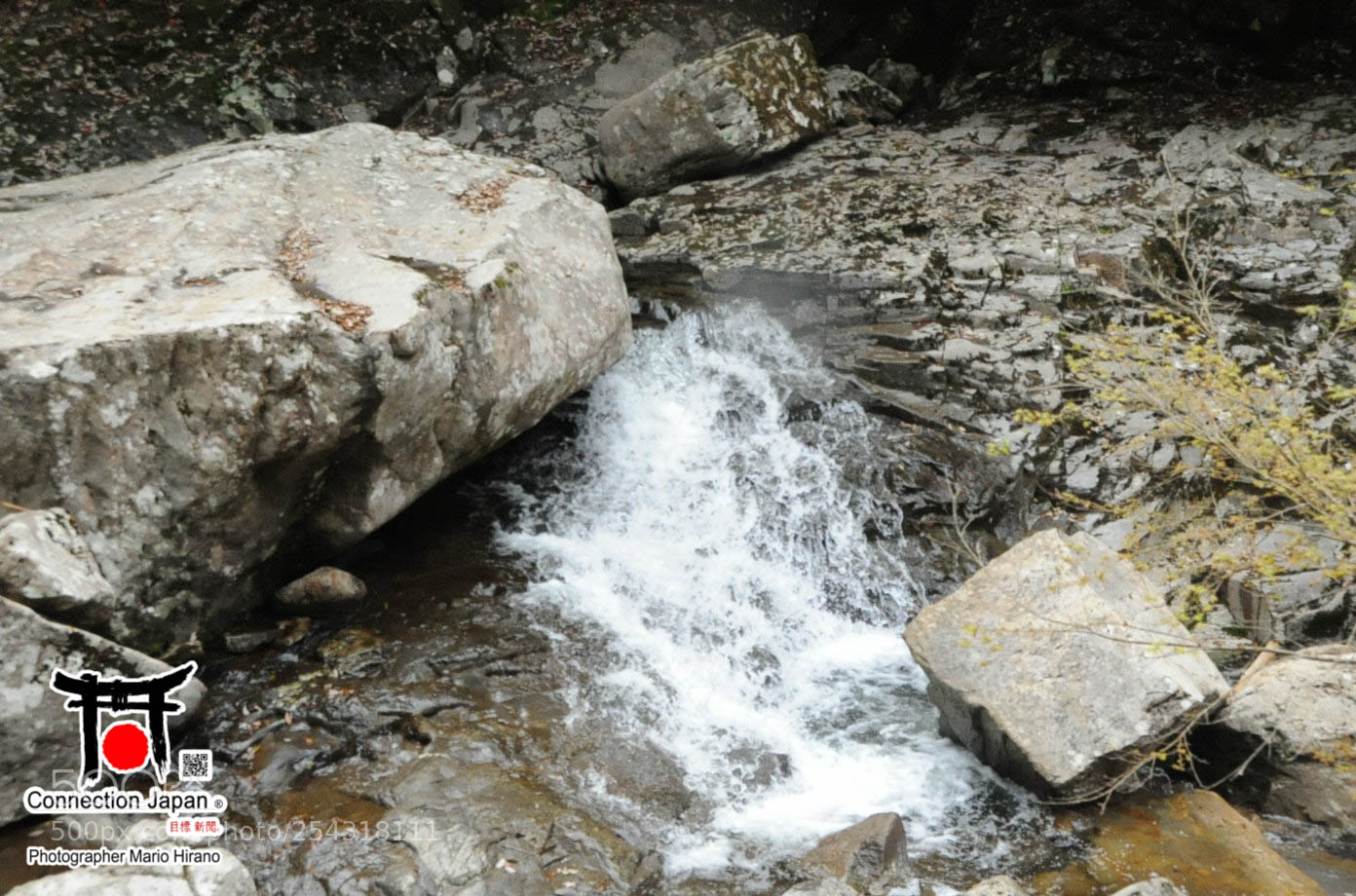 Nikon D700 sample photo. Excurs o japan tour photography