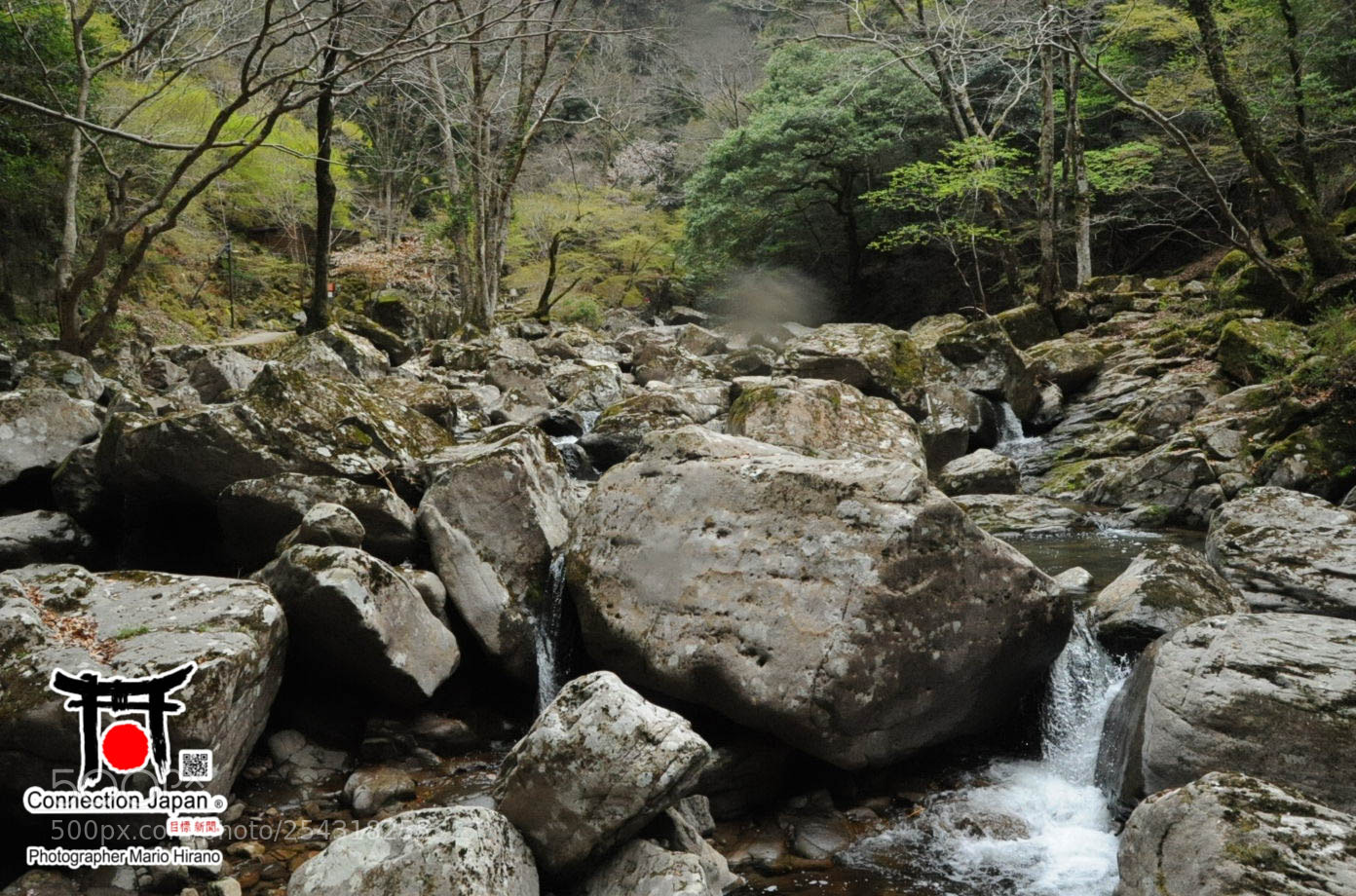 Nikon D700 sample photo. Excurs o japan tour photography