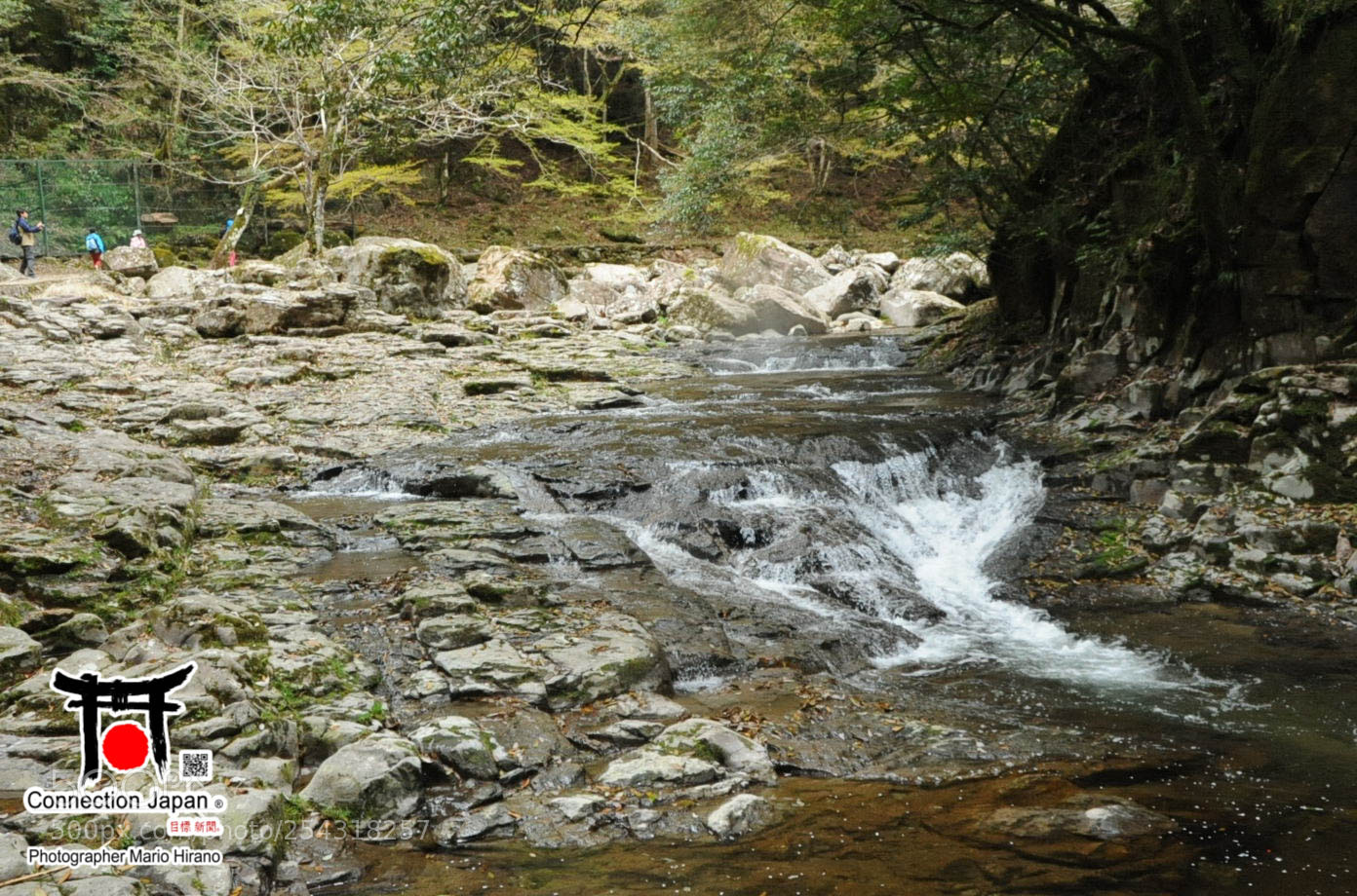 Nikon D700 sample photo. Excurs o japan tour photography