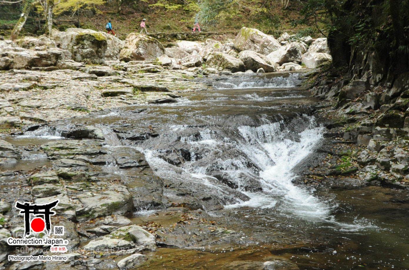 Nikon D700 sample photo. Excurs o japan tour photography