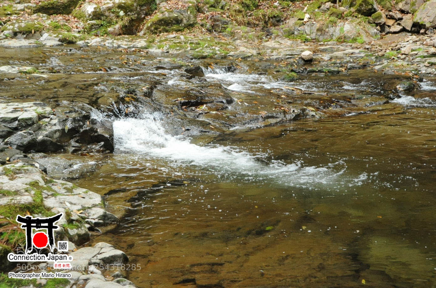 Nikon D700 sample photo. Excurs o japan tour photography