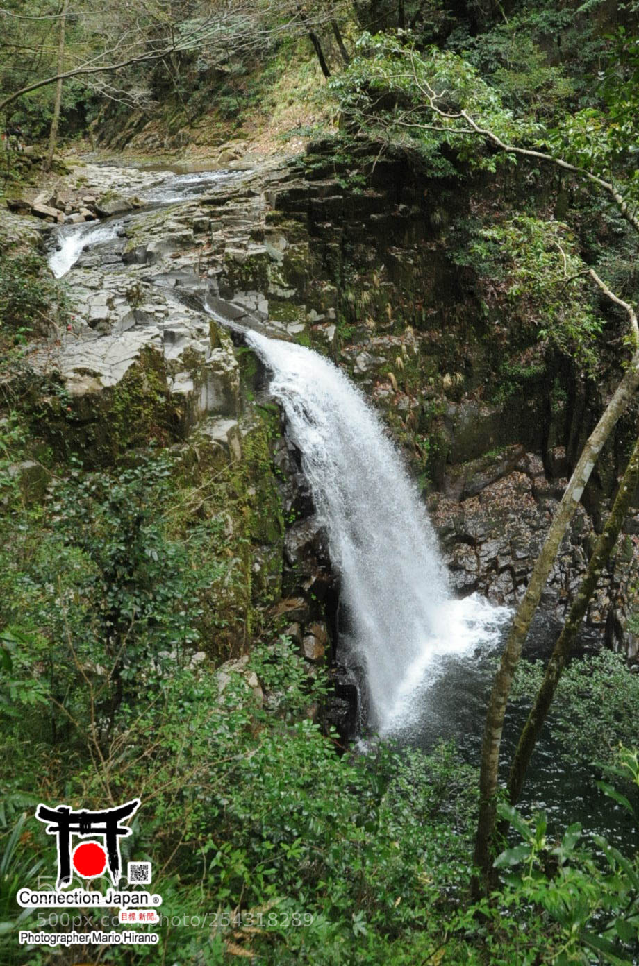 Nikon D700 sample photo. Excurs o japan tour photography