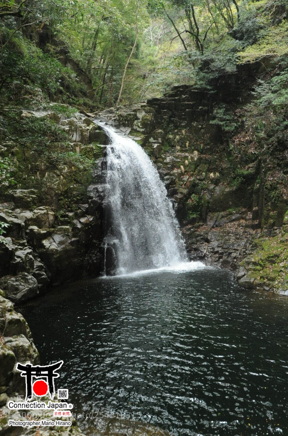 Nikon D700 sample photo. Excurs o japan tour photography