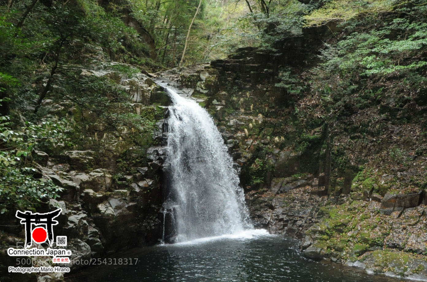 Nikon D700 sample photo. Excurs o japan tour photography
