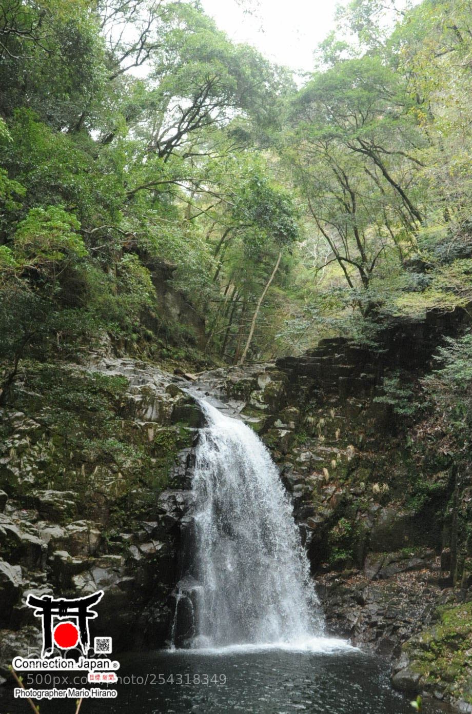Nikon D700 sample photo. Excurs o japan tour photography