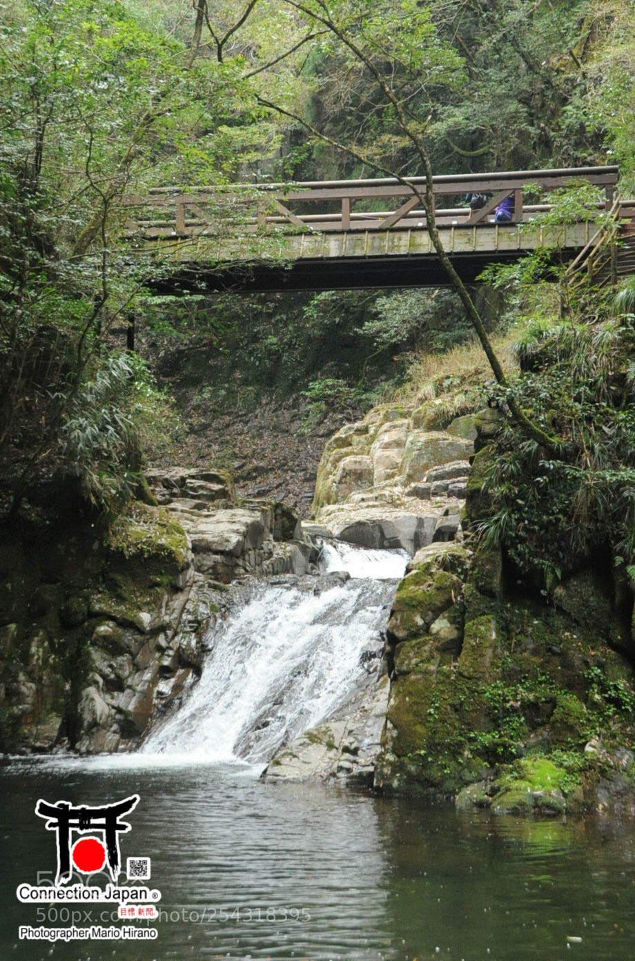 Nikon D700 sample photo. Excurs o japan tour photography