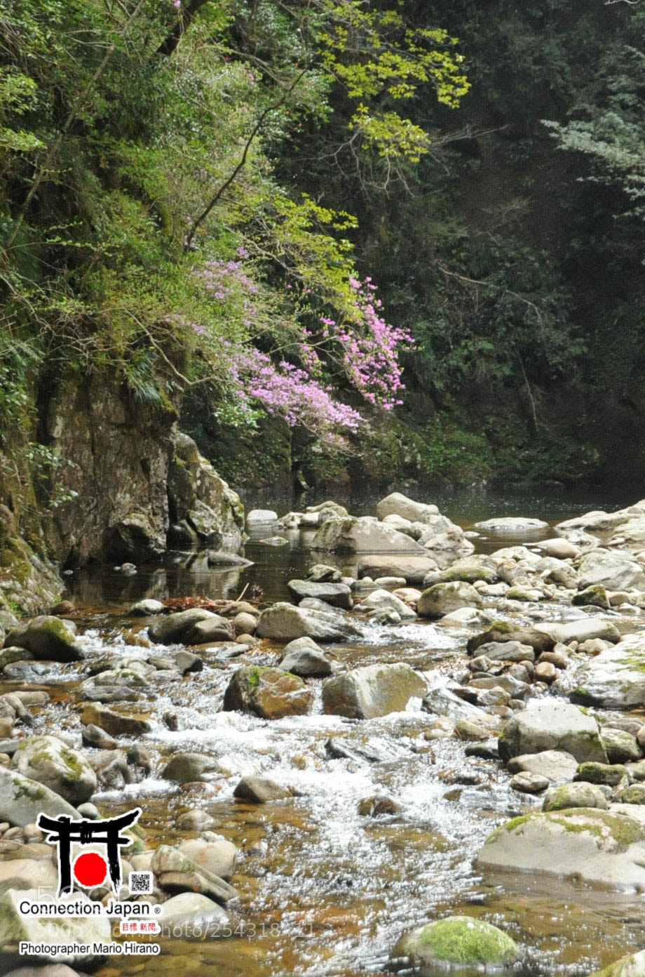 Nikon D700 sample photo. Excurs o japan tour photography